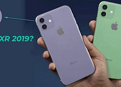 Những thay đổi đáng mong chờ trên iPhone XR 2019