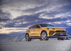 Phiên bản siêu SUV Urus bán chạy nhất hãng Lamborghini