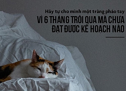 Thành tựu lớn nhất sau nửa năm là tăng cân, 'cháy túi' và vẫn 'ế'