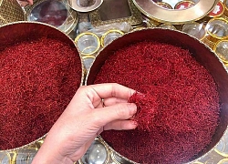 Thực hư "thần dược" nhuỵ hoa nghệ Tây Saffron giá gần nửa tỷ/kg chữa bách bệnh?