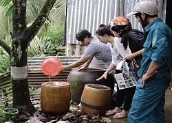 TP.HCM: Sốt xuất huyết đang bùng phát, nhiều người đã tử vong