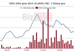 Vinachem thoái lượng lớn vốn tại Cao su Sao Vàng