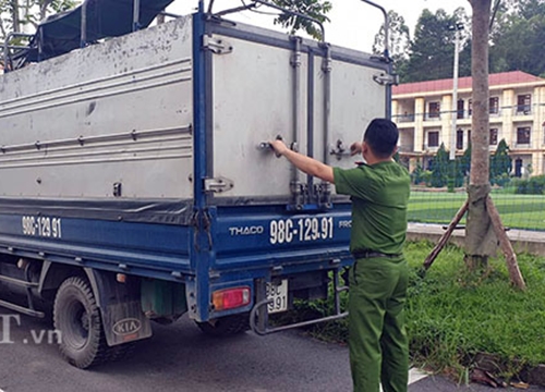 Vụ 35 con lợn dịch tả lọt vào Lạng Sơn: Sẽ kỷ luật cán bộ thú y