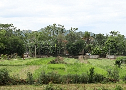 Đê Tân Long "mong manh" trước mùa mưa bão