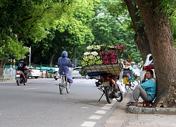 Điểm danh những con phố... 'chưa đi đã hết' ở Hà Nội