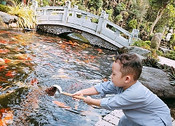 Ly Kute &#8220;bóc mẽ&#8221; con trai phá đám, nhưng dân mạng vẫn &#8220;đổ&#8221; cậu bé Khoai Tây rần rần vì quá đáng yêu