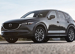 Mazda CX-5 & Mazda CX-8: Song hành khẳng định đẳng cấp