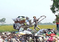 Môi trường và an toàn thực phẩm - tiêu chí "khó nhằn" nhất