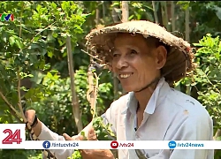 Ông lão dùng lương thương binh để nuôi học trò nghèo