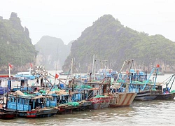 Triển khai các phương án ứng phó bão số 3