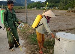 Với việc làm này, nông dân Mai Hóa khỏe, đồng ruộng sạch sẽ