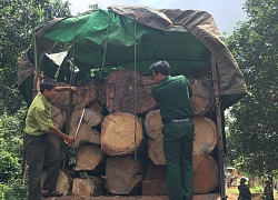 Vụ xe gỗ lậu tông CSGT : Công an tỉnh Gia Lai vào cuộc