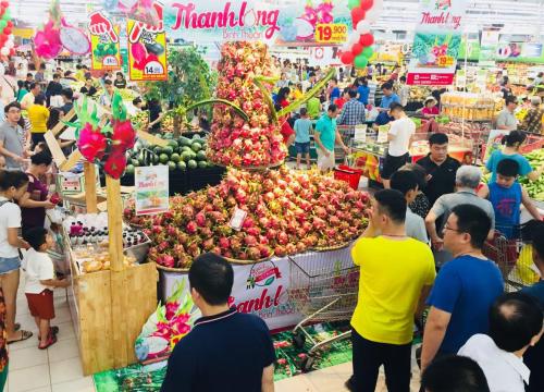 500 tấn thanh long Bình Thuận đang "đổ bộ" vào Thủ đô