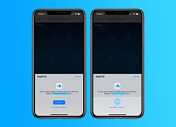 Apple thử nghiệm đăng nhập bằng Face ID và Touch ID cho iCloud.com trên iOS 13 và macOS Catalina beta