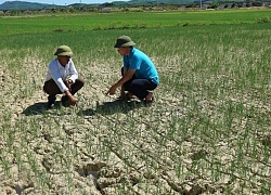 Bắc Bộ và Trung Bộ nắng nóng diện rộng, có nơi trên 38 dộ C