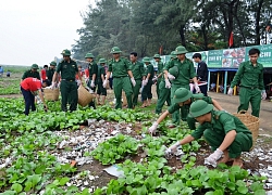 BĐBP tham gia ứng phó môi trường biển