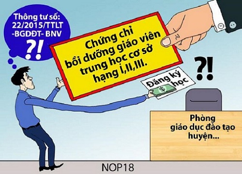 Cần bao nhiêu loại chứng chỉ nữa thì người ta mới công nhận giáo viên chúng tôi?