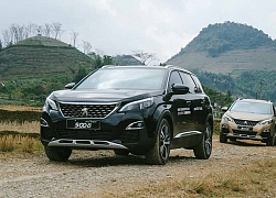 Giải mã cơn sốt xe Pháp Peugeot 5008 tại Việt Nam