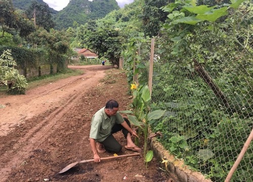 Hiệu quả "Ngày về cơ sở xây dựng nông thôn mới" ở Mai Sơn