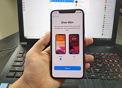 iPhone chạy iOS 13 lỗi không nhận cuộc gọi, người dùng Việt kêu trời