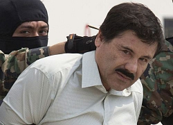 Trùm ma túy El Chapo bị đòi hơn 12 tỷ USD, luật sư bào chữa nói lời cay đắng