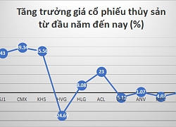 Vì sao MPC của vua tôm Minh Phú vẫn khó "bứt phá"?