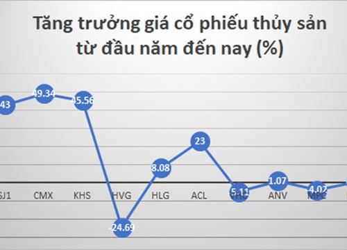 Vì sao MPC của vua tôm Minh Phú vẫn khó "bứt phá"?