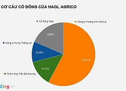 HAGL của bầu Đức bán 60 triệu cổ phiếu công ty nông nghiệp