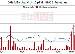 HNG vượt đỉnh 3 năm, HAGL đăng ký bán 60 triệu cổ phiếu, dự thu hơn 1.100 tỷ đồng