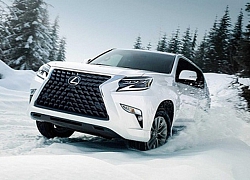 Lexus GX 2020 lộ diện, lưới tản nhiệt siêu lớn, tăng khả năng off-road