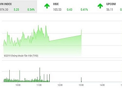 Phiên chiều 10/7: VN-Index giữ vững đà tăng, HNX-Index may mắn thoát hiểm