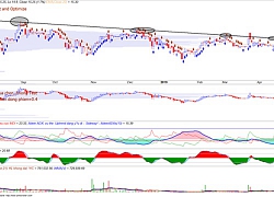 Sau khi thế chấp 100 triệu cổ phiếu để Hòa Phát vay vốn, ông Trần Đình Long chi tiền nâng sở hữu