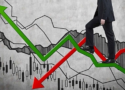 Vn-Index có thể tăng trưởng 14,7% trong năm 2019?