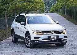 Volkswagen Tiguan bị triệu hồi vì lỗi hệ thống treo sau