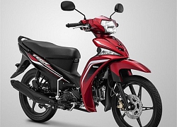 Xe số giá rẻ 2019 Yamaha Vega Force 115 chính thức ra mắt