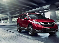 6 tháng đầu năm Honda bán 8.104 xe CR-V