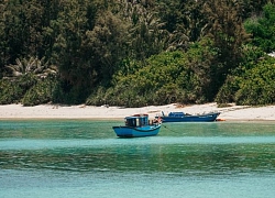 Du lịch Phú Quý, kinh nghiệm ăn chơi hết đảo Phú Quý