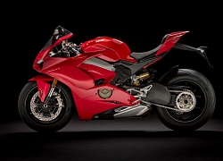 Ducati ra mắt Panigale V4 bản giới hạn nhằm vinh danh huyền thoại