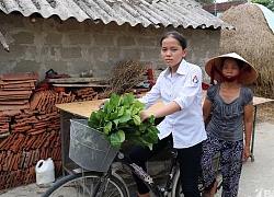 Gánh cả gia đình, nữ sinh Nghệ An vẫn giành giải Nhất Học sinh giỏi tỉnh