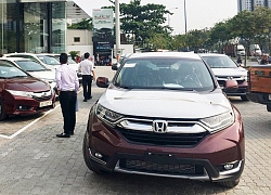 Honda và Ford thay đổi trật tự thị trường ô tô Việt Nam nửa đầu năm 2019