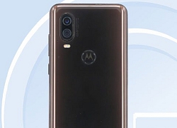 Motorola P50 lộ diện trên TENAA, xác nhận có RAM "khủng" 12GB