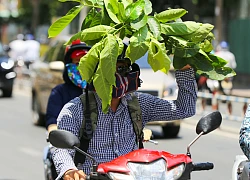 Nắng nóng quay quắt ở Bắc và Trung Bộ kéo dài nhiều ngày tới