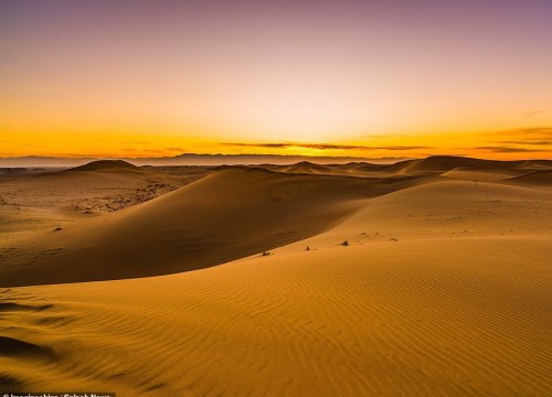 Phát hiện ngỡ ngàng về những sinh vật khổng lồ từng sống ở sa mạc Sahara