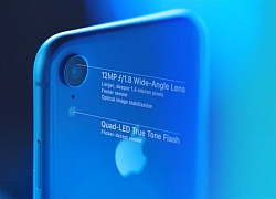 So sánh iPhone 8 và iPhone XR: Sự khác biệt giữa cách tân và cổ điển