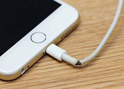 Tại sao cáp sạc Apple thường dễ hỏng hơn các hãng khác?