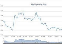 Thép Nam Kim có Tổng giám đốc mới