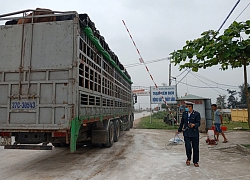 Tìm thực phẩm bù đắp thịt heo