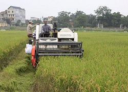 10 năm nông thôn mới, thu nhập của nông hộ đạt 130 triệu đồng