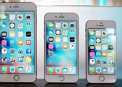 Apple ngừng bán iPhone 6, 6 Plus, 6s Plus và iPhone SE tại Ấn Độ