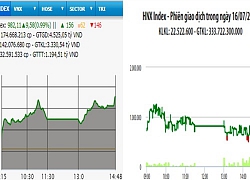 Bật tăng trở lại, VN-Index vượt mốc 980 điểm